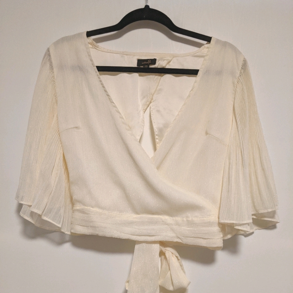 Shiney wide sleeve top